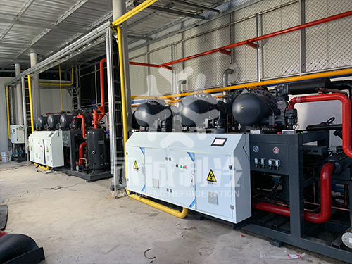 泰國羅永府榴蓮速凍庫二期