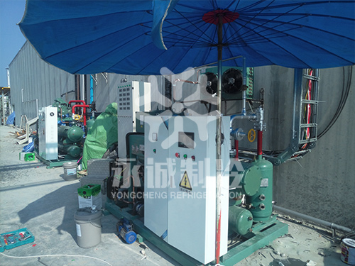 泰國曼谷食品速凍庫